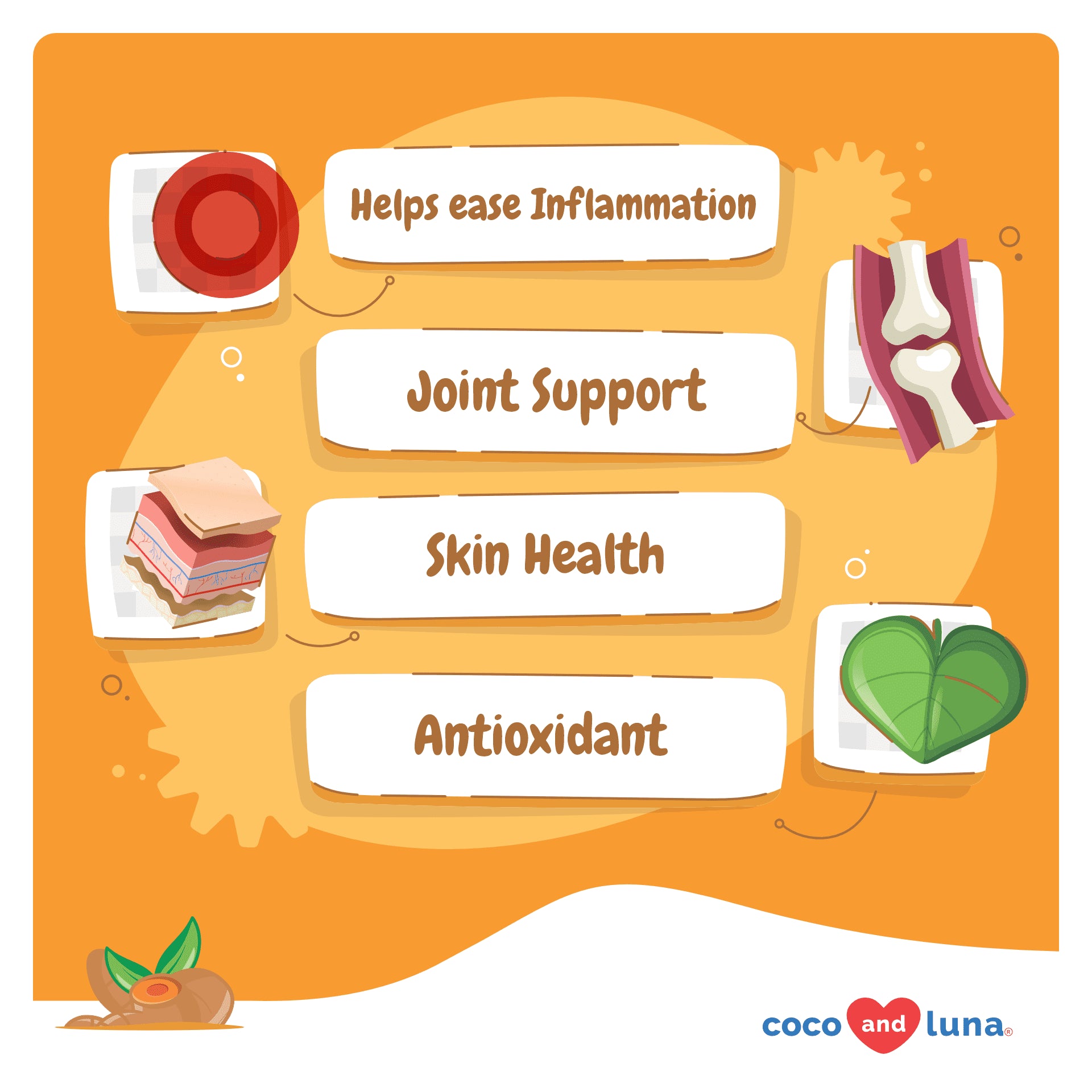 Turmeric for Dogs - Antiinflammatory - 90 Soft Chews